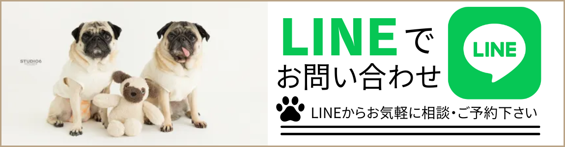 LINEでお問い合わせ